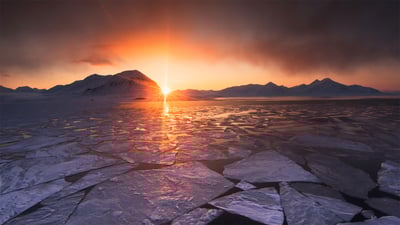 Bing wallpaper April 27, 2022. Midnight sun in Svalbard, Norway (© Nature Picture Library/Alamy)
