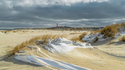 Bing wallpaper February 3, 2021. Strand der Insel Sylt, Schleswig-Holstein, im Winter (© RelaxFoto.de/iStock/Getty Images Plus)