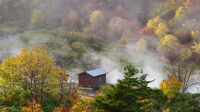Bing wallpaper November 25, 2025. 玉川温泉, 秋田県 仙北市 (© jiraphoto/Shutterstock)