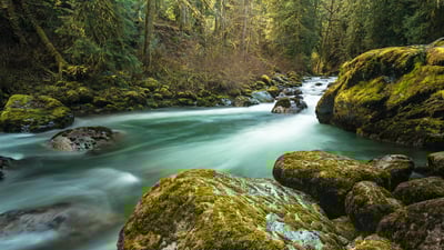 Bing wallpaper May 7, 2021. Tamihi Creek near Chilliwack, B.C. (© Jason Wilde/TANDEM Stills + Motion)