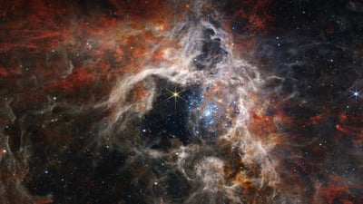 Bing wallpaper October 4, 2023. Young stars forming in the Tarantula Nebula, James Webb Space Telescope (© NASA, ESA, CSA, STScI, Webb ERO Production Team)