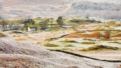 Bing wallpaper January 28, 2020. Hoar frost on vegetation near Coniston, Lake District (© Ashley Cooper/Getty Images)