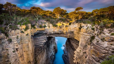 Bing wallpaper November 19, 2024. Tasmans Arch, Tasmania, Australia (© Gary Bell/Minden Pictures)