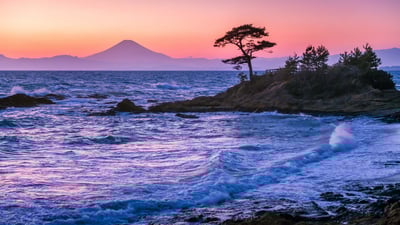 Bing wallpaper July 15, 2024. Tateishi Park, Kanagawa Prefecture, Japan (© blew_s/Shutterstock)