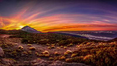 Bing wallpaper February 4, 2024. テイデ国立公園, スペイン (© Javier Martínez Morán/Alamy)