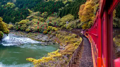 Bing wallpaper October 13, 2020. ｢嵯峨野観光鉄道｣京都, 嵐山 (© jiGGoTravel/Alamy Stock Photo)