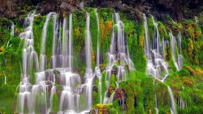 Bing wallpaper March 22, 2022. Waterfalls in Thousand Springs State Park, Hagerman Valley, Idaho (© knowlesgallery/Getty Images)