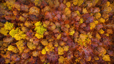 Bing wallpaper November 18, 2021. Bohemian Switzerland National Park near Tisá, Czech Republic (© Amazing Aerial Agency/Offset)