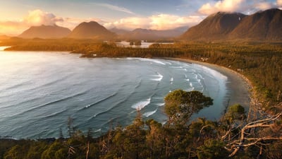 Bing wallpaper March 18, 2021. View of Tofino Bay, Vancouver, B.C. (© Ben Kotenberg/Shutterstock)