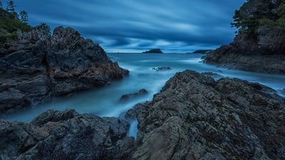 Bing wallpaper March 29, 2022. MacKenzie Beach, Tofino, British Columbia, Canada (© Robert Postma/Plainpicture/Design Pics)