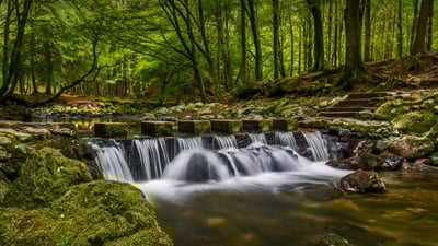 Bing wallpaper November 4, 2019. Stepping stones in Tollymore Forest Park, County Down, Northern Ireland (© Chris Curry/500px)