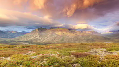 Bing wallpaper August 22, 2021. The Goldensides trailhead in Tombstone Territorial Park, Yukon (© Ron Erwin/All Canada Photos/Alamy Stock Photo)