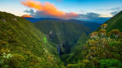 Bing wallpaper December 19, 2019. Trou de Fer dans le Piton des Neiges sur l’île de la Réunion à l’occasion de la fête réunionnaise de la liberté (© Gabriel Barathieu/Biosphoto/Alamy Stock Photo)