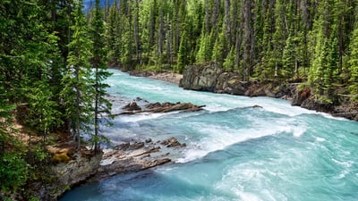 Bing wallpaper July 26, 2020. Glacial turquoise water of Kicking Horse River, Yoho National Park, B.C. (© Oleg Charykov/Getty Imgaes)