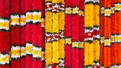 Bing wallpaper April 5, 2019. Garlands of red and yellow flowers, on Ugadi (© Sviridenko/iStock/Getty Images Plus)