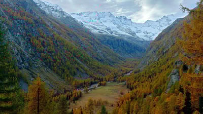 Bing wallpaper October 30, 2024. Gran Paradiso National Park, Italy (© Ondrej Prosicky/Alamy)
