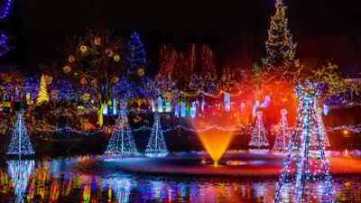 Bing wallpaper November 16, 2023. Festival of Lights, VanDusen Botanical Garden, Vancouver (© Wiliam Perry/Alamy Stock Photo)