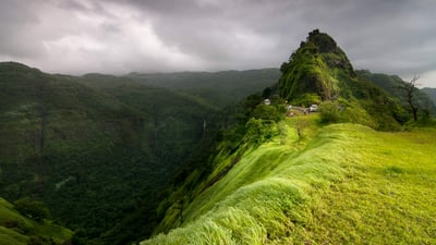 Bing wallpaper November 27, 2023. Lush green landscape of Varandha Ghat,Bhor,Maharashtra, India. (© AmitRane1975/Getty Images)