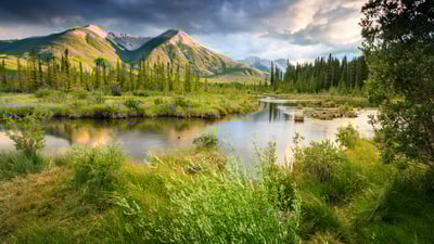 Bing wallpaper July 20, 2021. ｢カナディアンロッキーのバーミリオン湖｣ カナダ (© Jeremy Woodhouse/Getty Images)