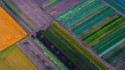 Bing wallpaper March 23, 2024. Blick auf Felder, Luftaufnahme, Bayern (© Westend61 GmbH/Alamy)