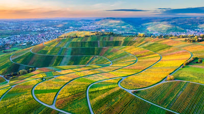 Bing wallpaper August 24, 2024. Drohnenansicht der Weinberge im Remstal, Baden-Württemberg (© Westend61/Getty Images)
