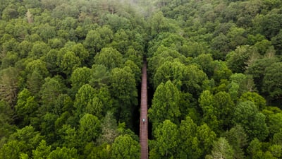 Bing wallpaper July 30, 2026. Luftaufnahme des Virginia Creeper Trail in Damascus, Virginia, USA (© Eifel Kreutz/Getty Images)