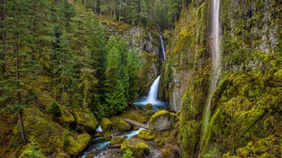 Bing wallpaper March 6, 2024. Wahclella Falls in the Columbia River Gorge, Oregon (© Eric Vogt/Tandem Stills + Motion)