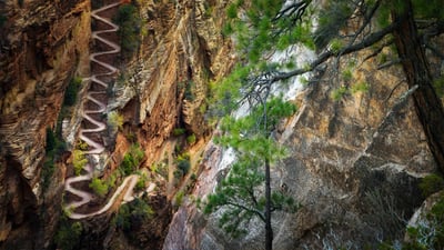 Bing wallpaper June 6, 2020. Walter's Wiggles on the Angels Landing Trail in Zion National Park, Utah (© Dennis Frates/Alamy)