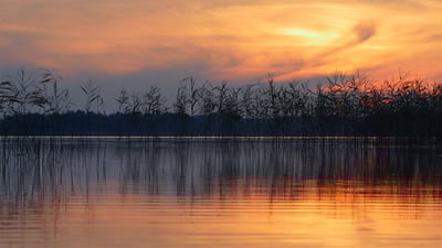 Bing wallpaper July 12, 2020. Ežezers Lake in the Latgale region, Latvia (© Eaglewood Films/Nimia)