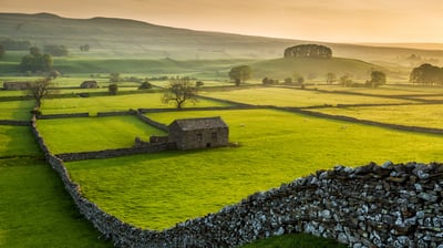 Bing wallpaper April 26, 2021. Wensleydale, Yorkshire Dales National Park, North Yorkshire, England (© Guy Edwardes/Minden Pictures)