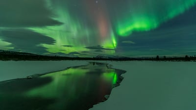 Bing wallpaper March 8, 2023. Aurora display, Whitehorse, Yukon, Canada (© John Hyde/plainpicture/Design Pics)