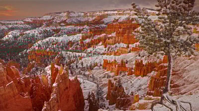 Bing wallpaper December 30, 2020. Winter in Bryce Canyon National Park, Utah (© Don Paulson/Danita Delimont)