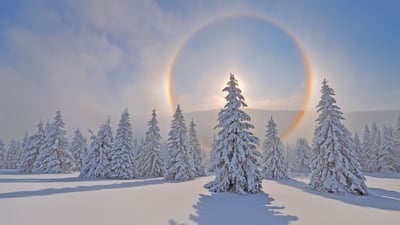 Bing wallpaper January 30, 2022. Halo around the sun in the Ore Mountains, Saxony, Germany (© Martin Ruegner/Getty Images)