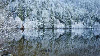 Bing wallpaper February 14, 2021. Le lac de Longemer dans les Vosges, Lorraine, France. (© art4stock/Shutterstock)