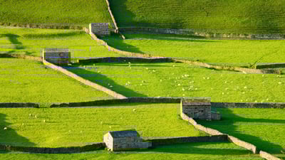 Bing wallpaper May 31, 2024. Gunnerside, Swaledale, Yorkshire Dales National Park, England (© Derek Croucher/Alamy)
