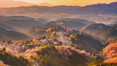 Bing wallpaper April 11, 2021. Mount Yoshino, Nara Prefecture, Japan (© Sean Pavone/iStock/Getty Images Plus)