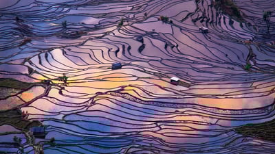 Bing wallpaper March 7, 2023. Aerial view of terraced rice fields, Yuanyang County, China (© AlexGcs/Getty Images)