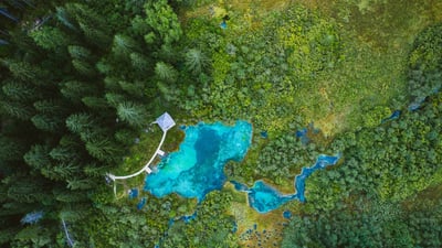 Bing wallpaper August 3, 2023. Zelenci Nature Reserve, Slovenia (© Andrey Danilovich/Getty Images)