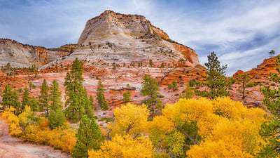 Bing wallpaper November 19, 2019. Fall colors in Zion National Park, Utah (© pabradyphoto/Getty Images)