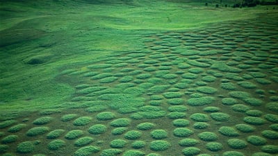 Bing wallpaper May 31, 2019. Prairie mounds at Oregon’s Zumwalt Prairie (© Michael Durham/Minden Pictures)